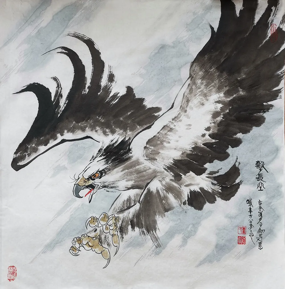 1630056718103825.jpg 翱翔.jpg